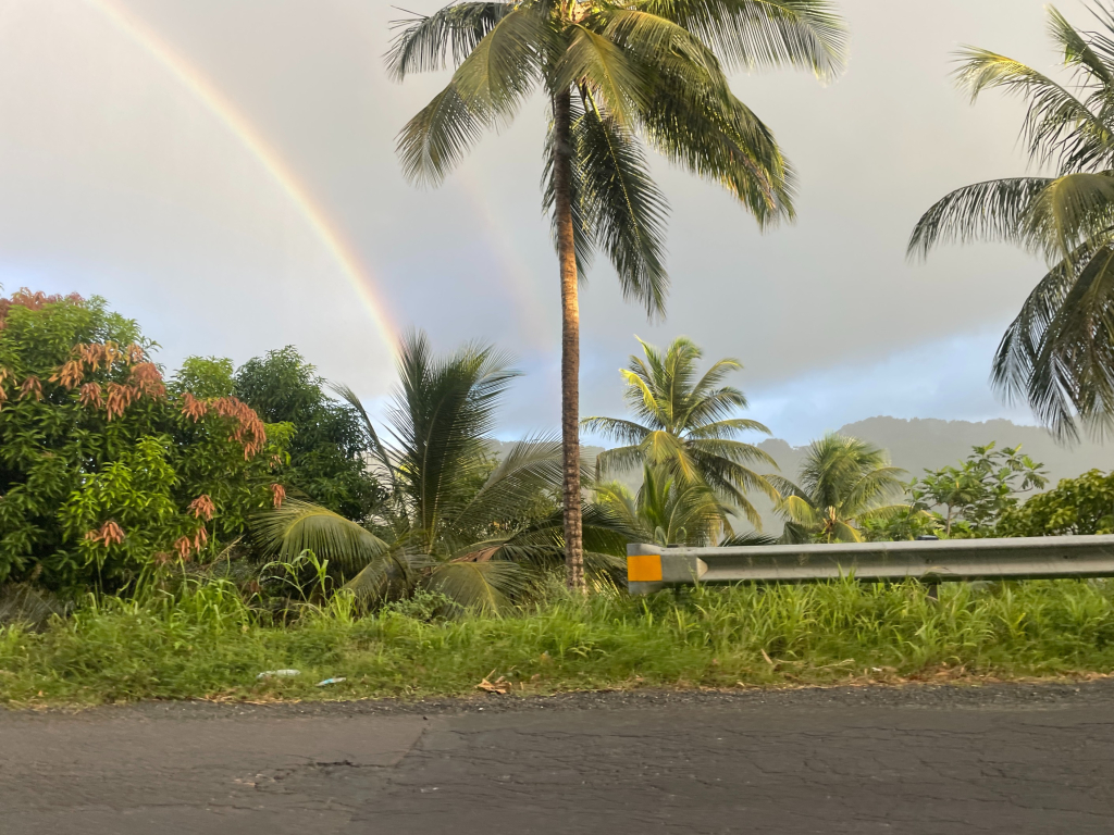 Navigating Alien Land Holding License in St. Lucia, Caribbean