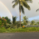Navigating Alien Land Holding License in St. Lucia, Caribbean