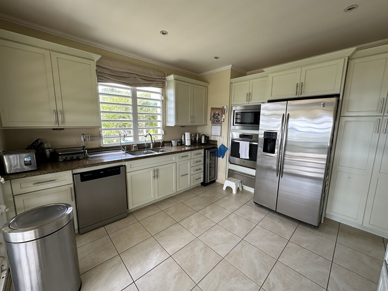 luxury homes for sale in st lucia kitchen
